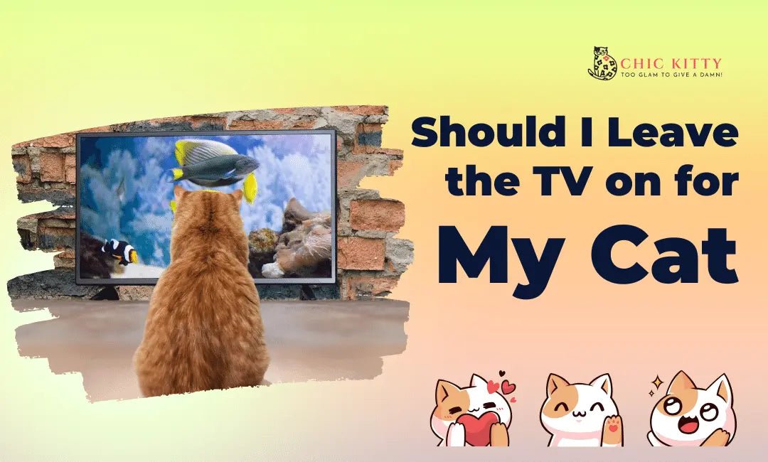Should I Leave the TV on for My Cat? Pros, Cons, and Better Ideas - Chic Kitty