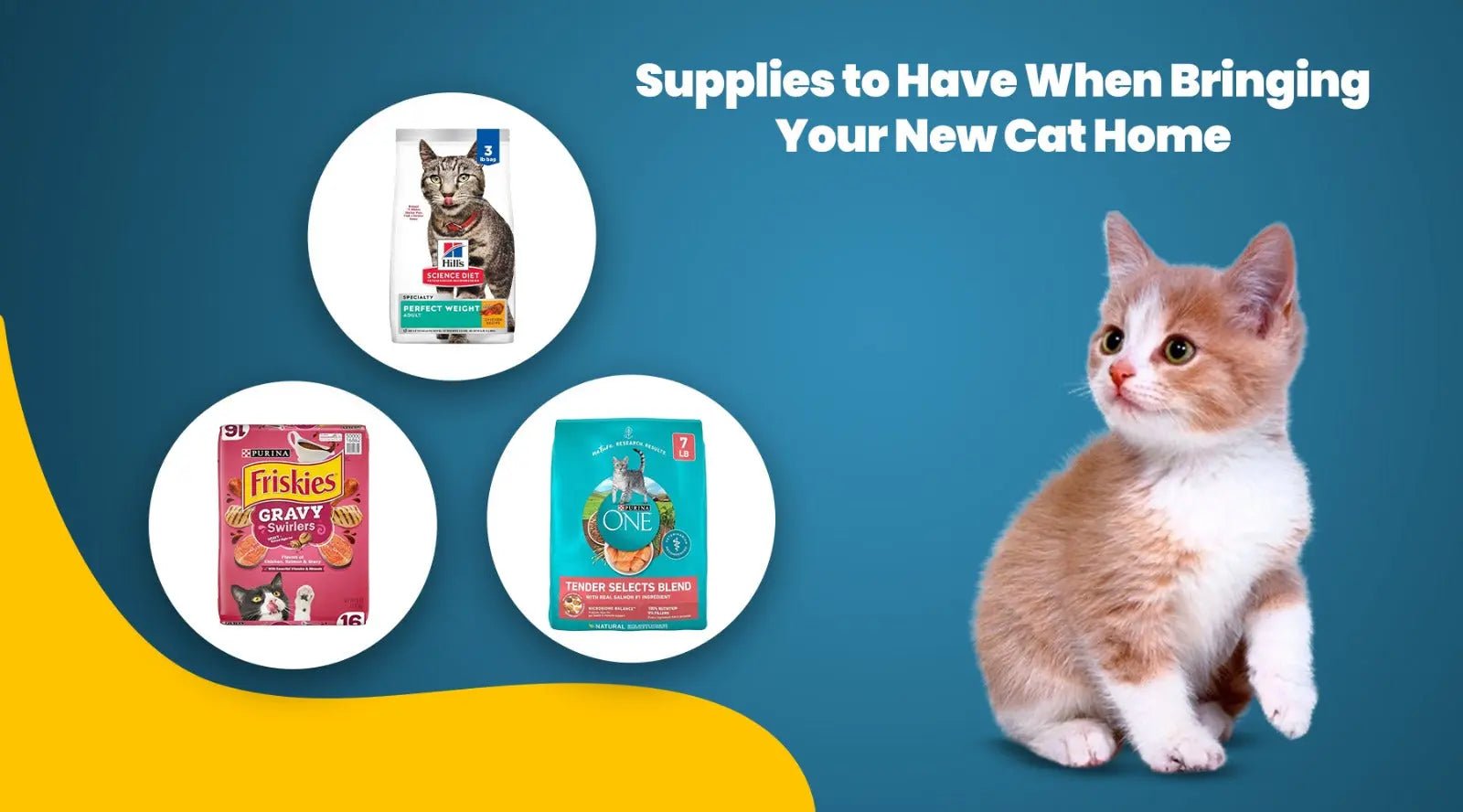 Supplies to Have When Bringing Your New Cat Home - Chic Kitty
