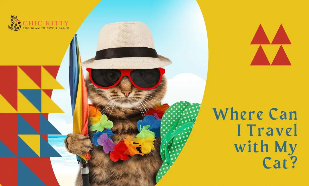 Where Can I Travel with My Cat? Top Destinations for Feline Adventures - Chic Kitty
