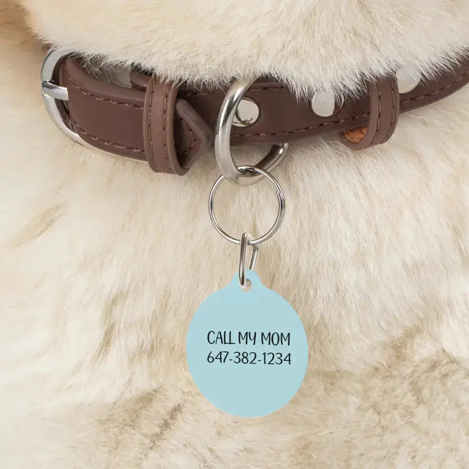 Personalized Cat Photo and Details Tags - Tags for Cat Collars Printify