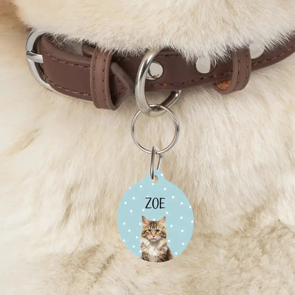 Personalized Cat Photo and Details Tags - Tags for Cat Collars Printify