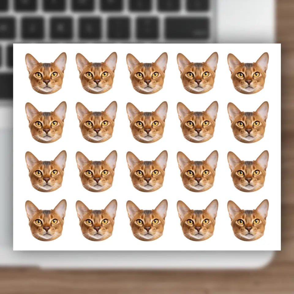 Custom Cat Photo Sticker Sheet - Chic Kitty