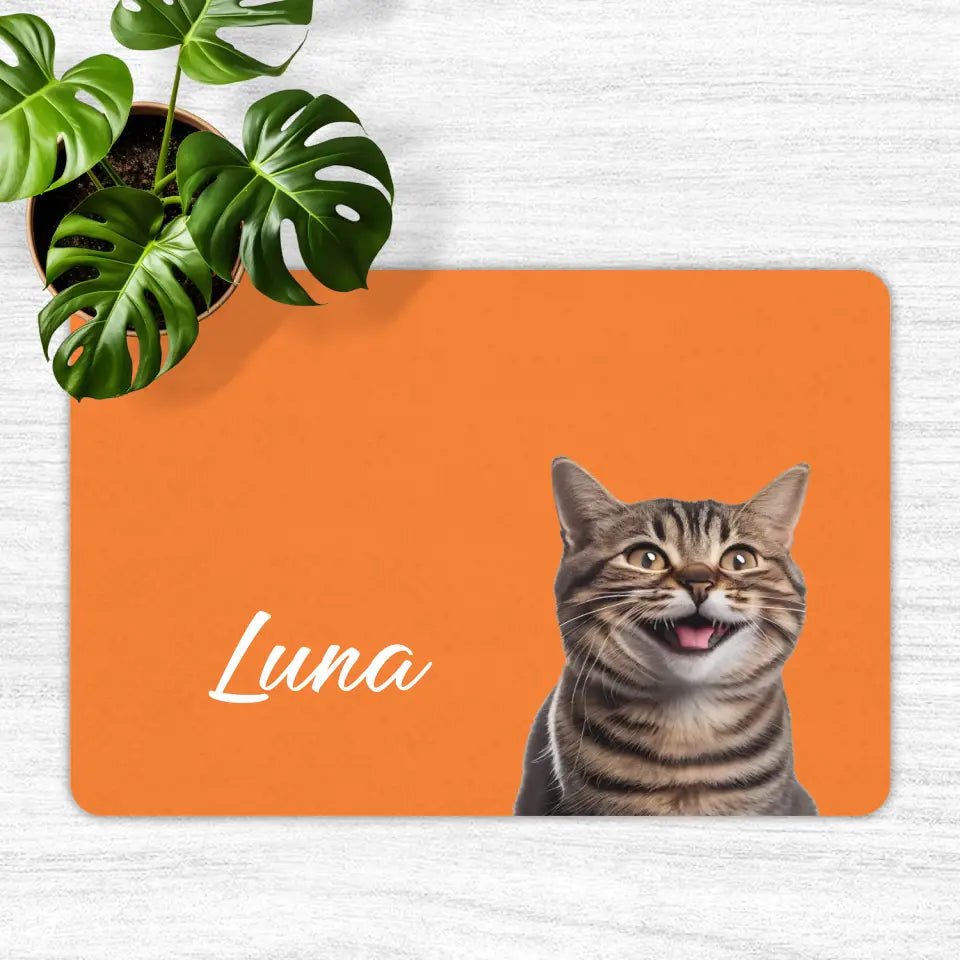Custom Personalised Cat Photo and Name Food Mats - Chic Kitty
