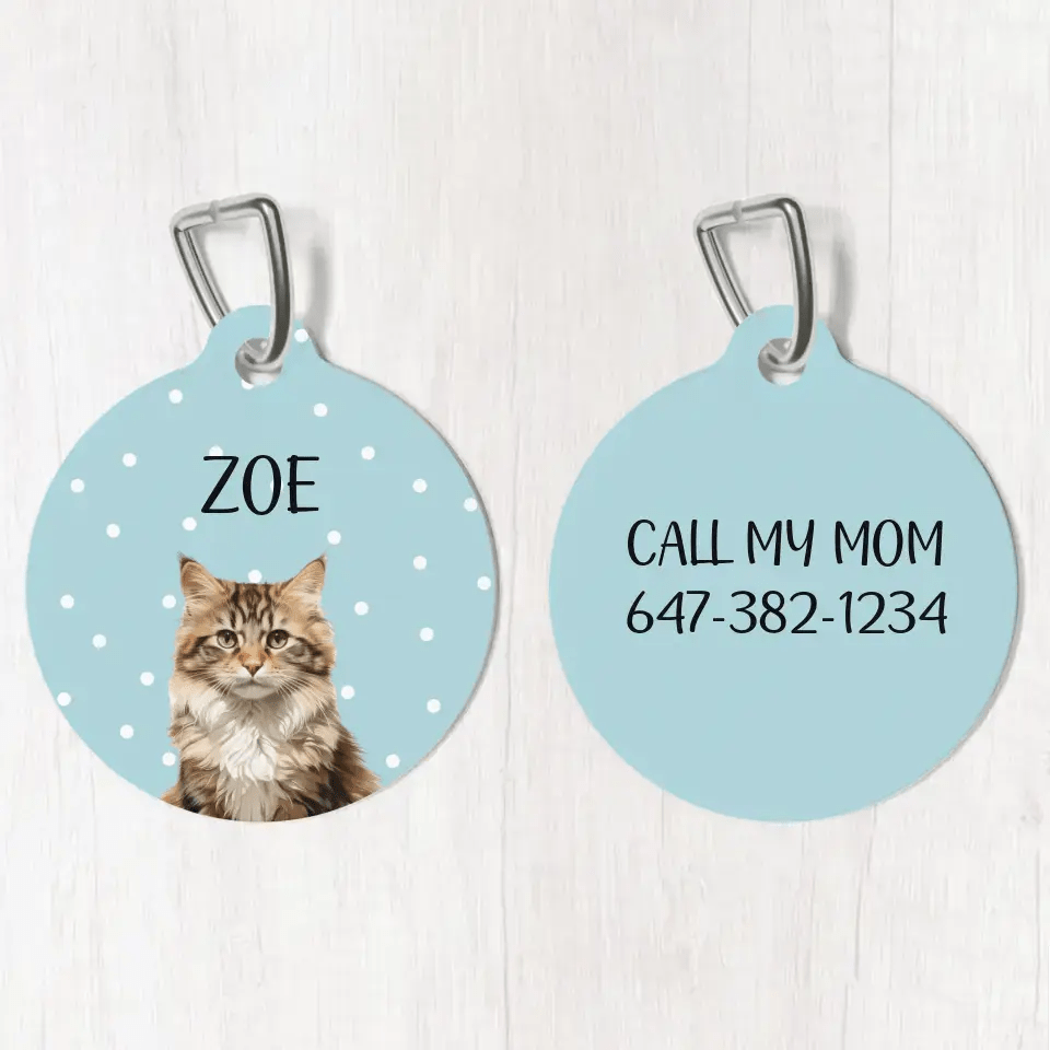 Personalized Cat Photo and Details Tags - Tags for Cat Collars - Chic Kitty