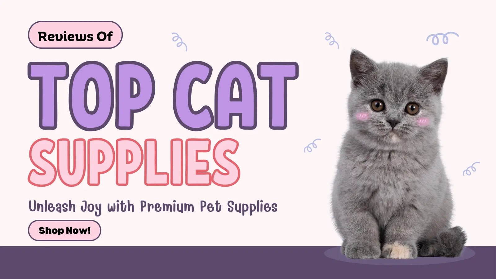 Reviews and Recommendations for Top Quality Cat Supplies - Chic Kitty