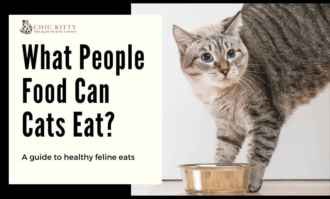 What People Food Can Cats Eat? Surprising Foods That Are Feline-Friendly - Chic Kitty