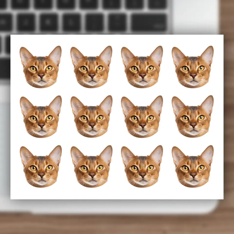 Custom Cat Photo Sticker Sheet Printify