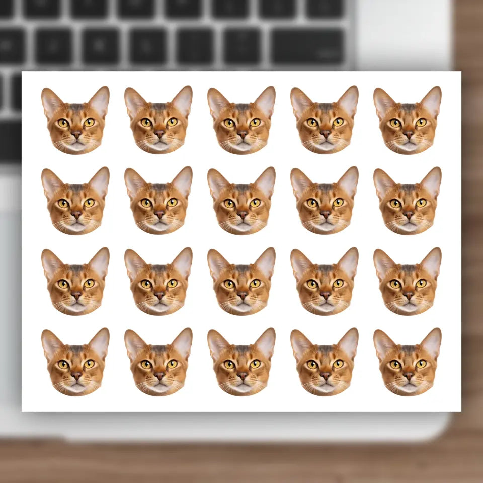 Custom Cat Photo Sticker Sheet Printify