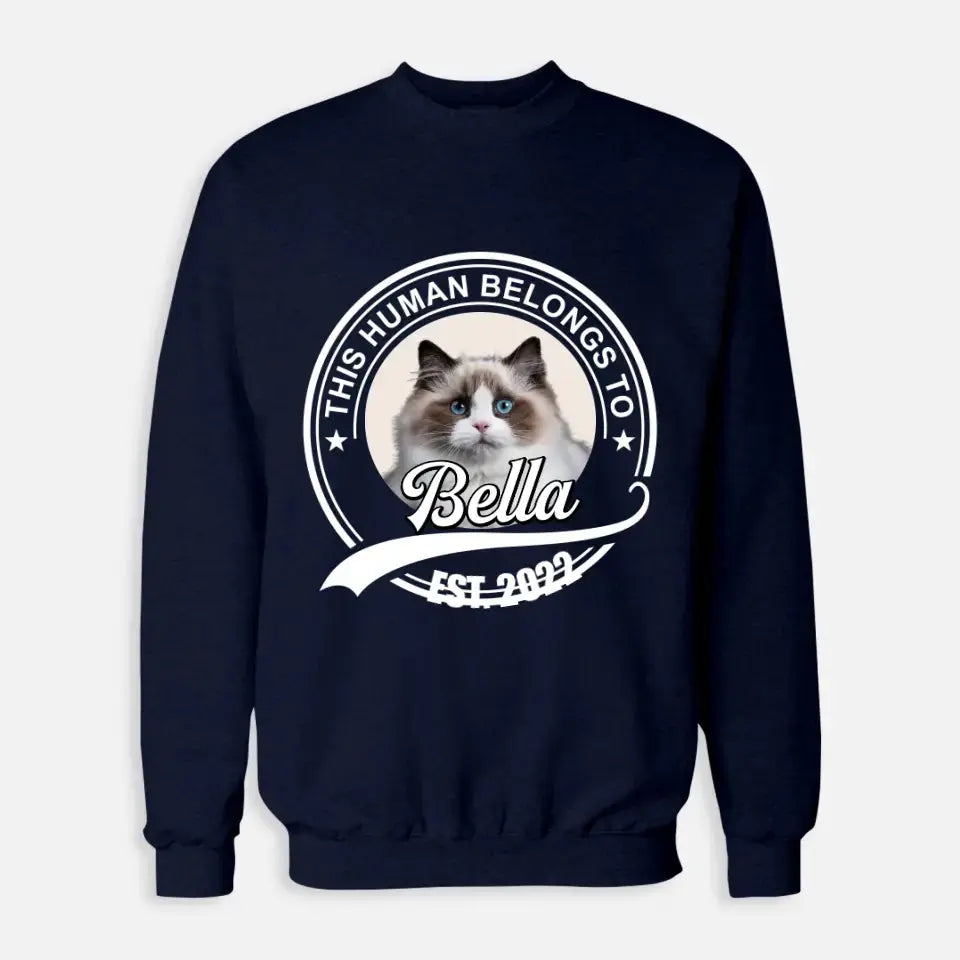 This Human Belongs to - Personalised Cat Sweatshirt Printify