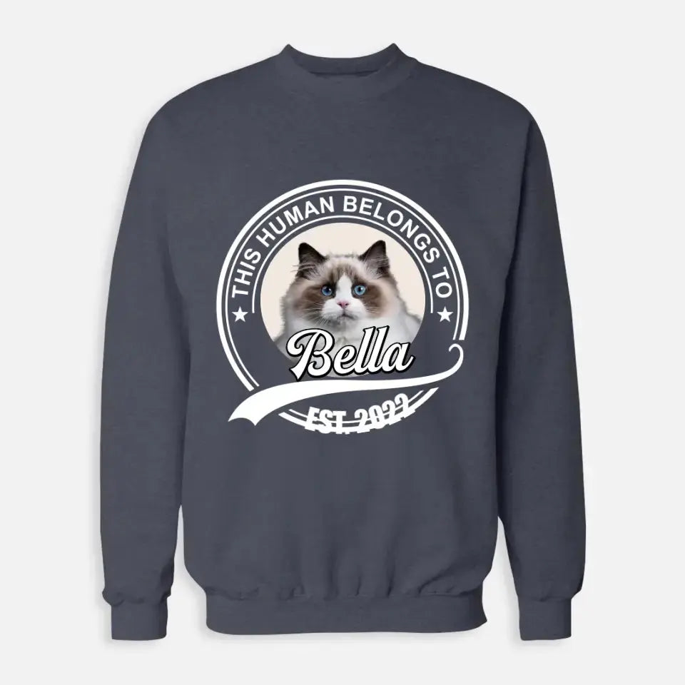 This Human Belongs to - Personalised Cat Sweatshirt Printify