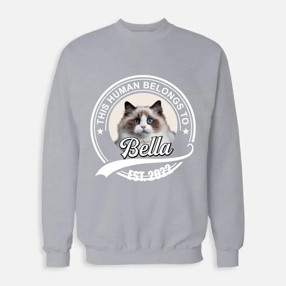 This Human Belongs to - Personalised Cat Sweatshirt Printify