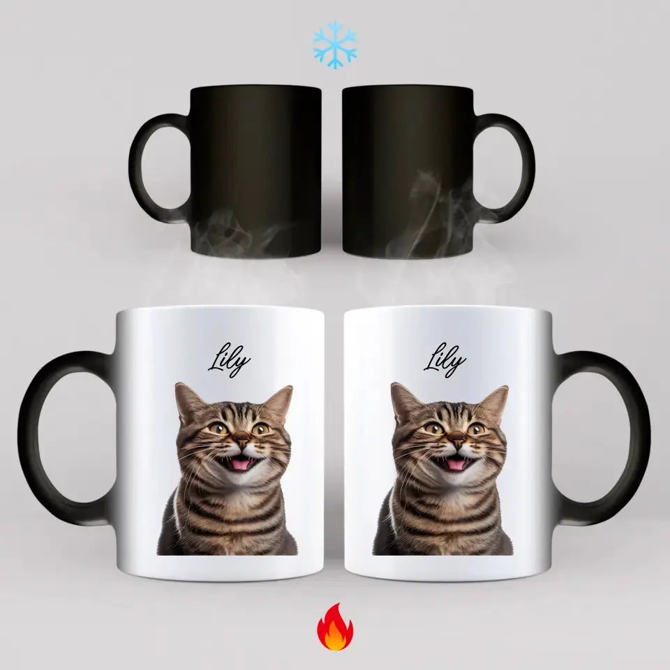 Custom Cat Photo Color Changing Mug Dreamship