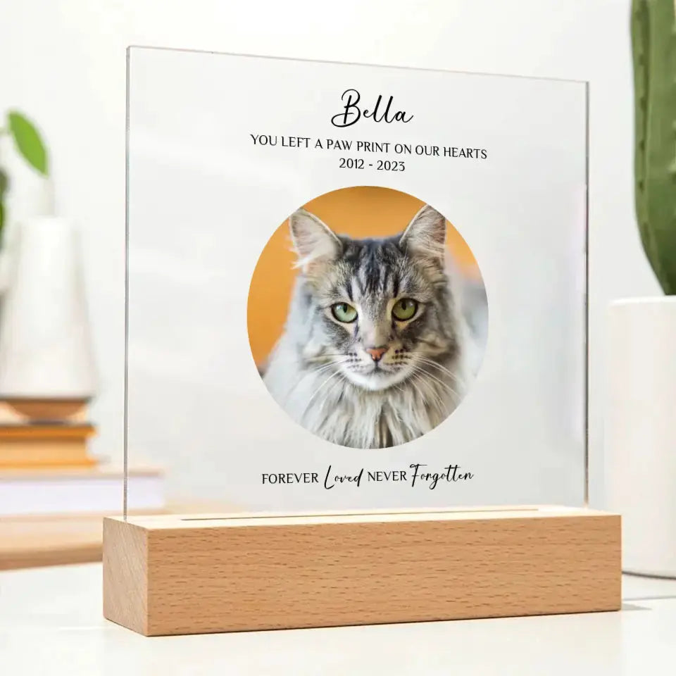 Custom Cat Photo Memorial Gift - Acrylic Square Plaque ShineOn