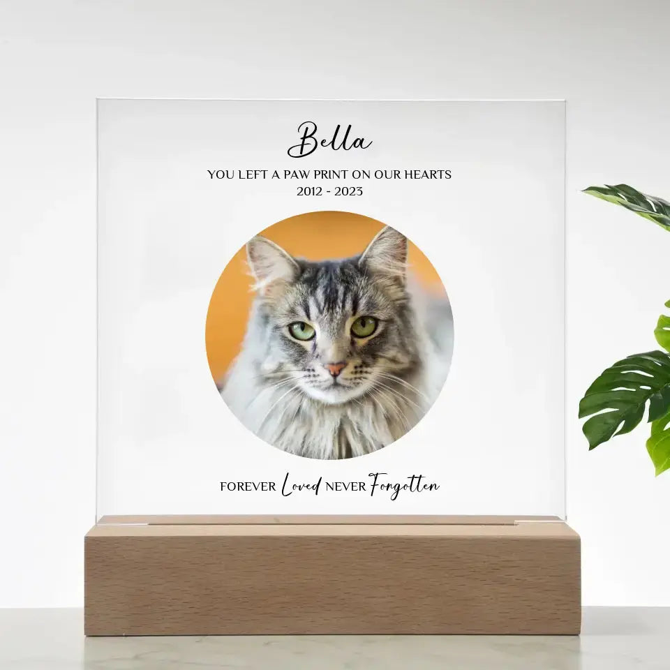 Custom Cat Photo Memorial Gift - Acrylic Square Plaque ShineOn