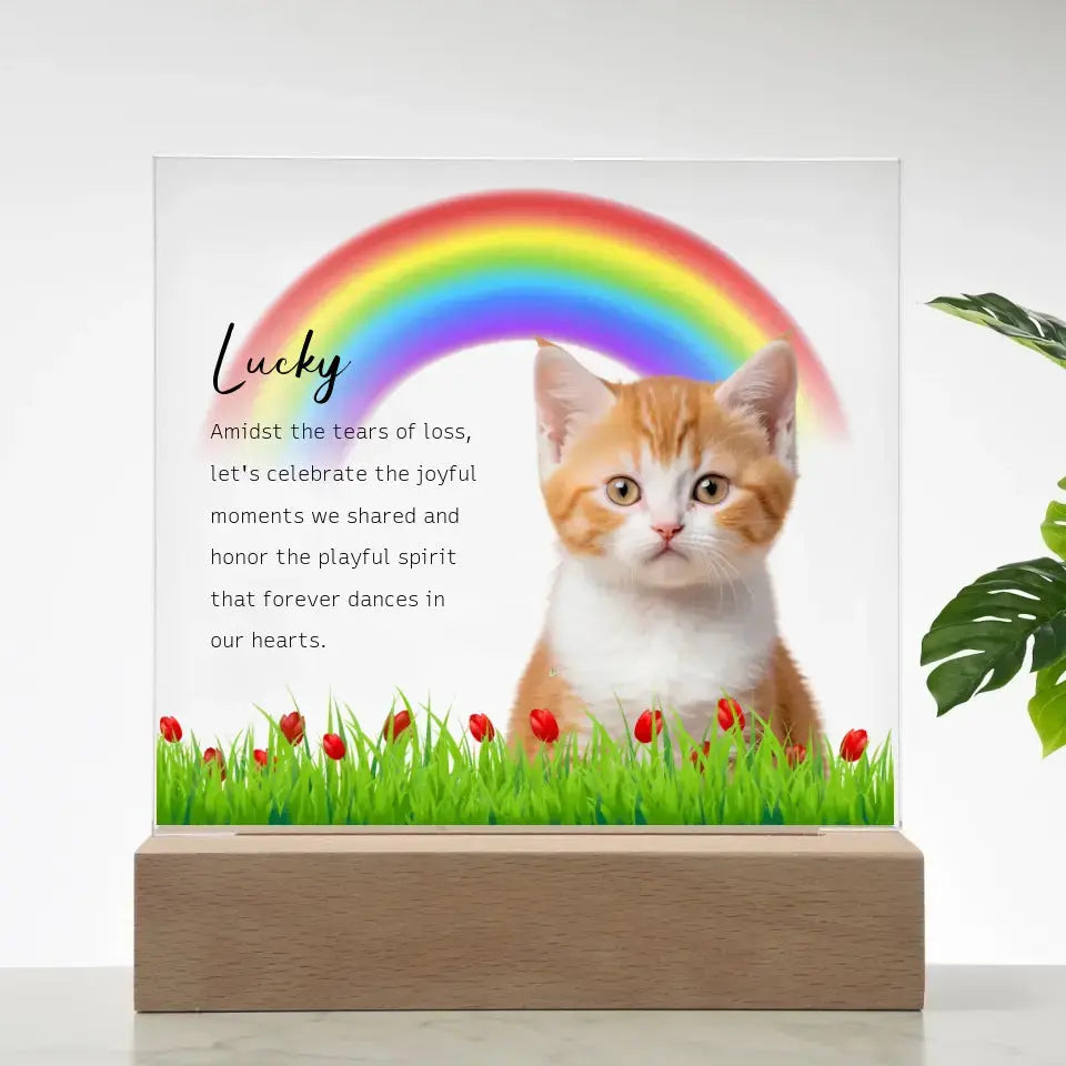 Custom Cat Photo Memorial Gift - Acrylic Square Plaque ShineOn