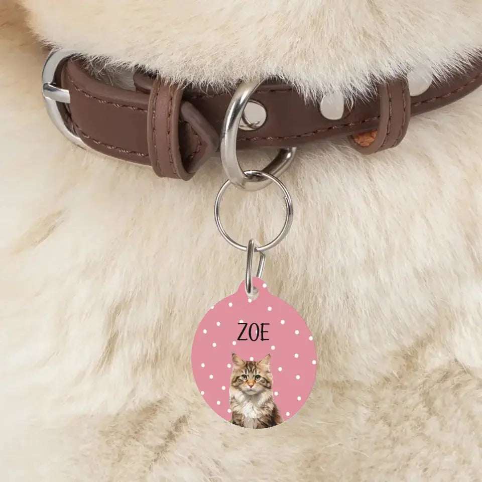 Personalized Cat Photo and Details Tags - Tags for Cat Collars Printify