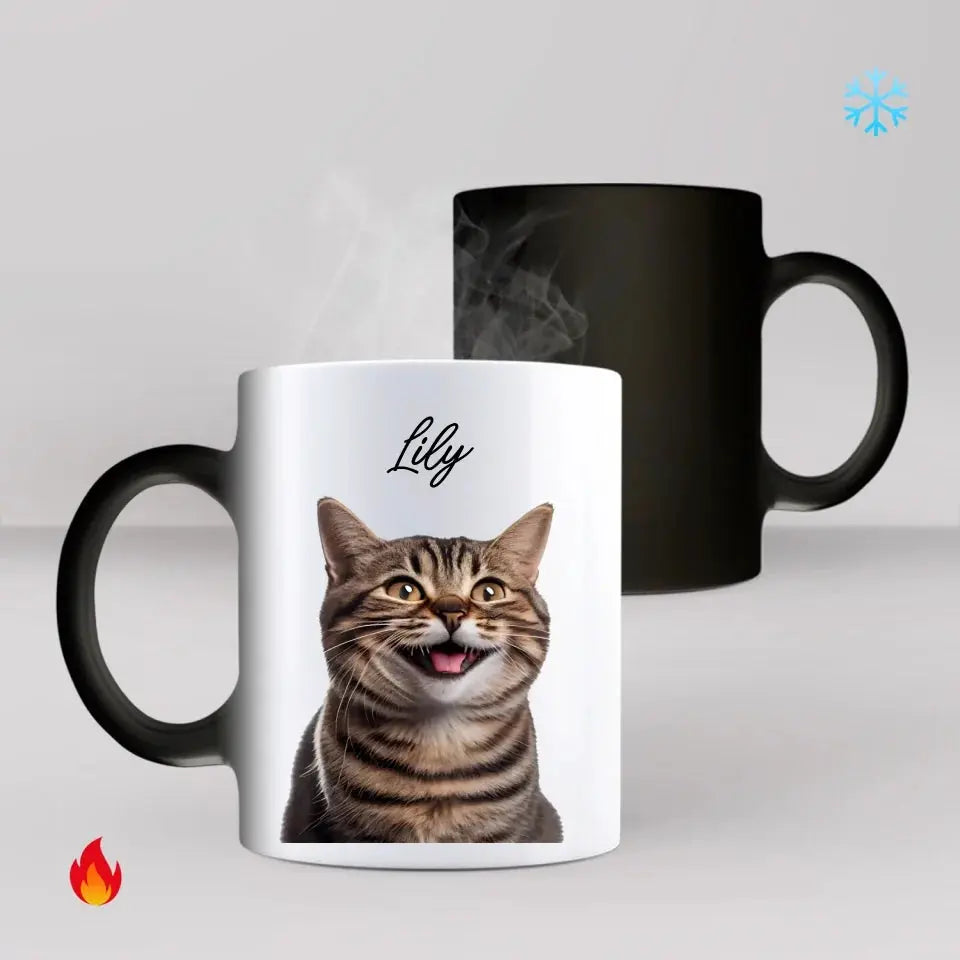 Custom Cat Photo Color Changing Mug Dreamship