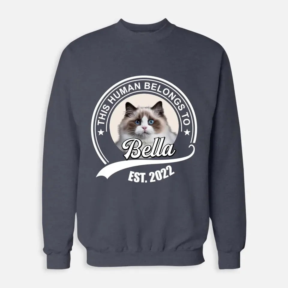 This Human Belongs to - Personalised Cat Sweatshirt Printify