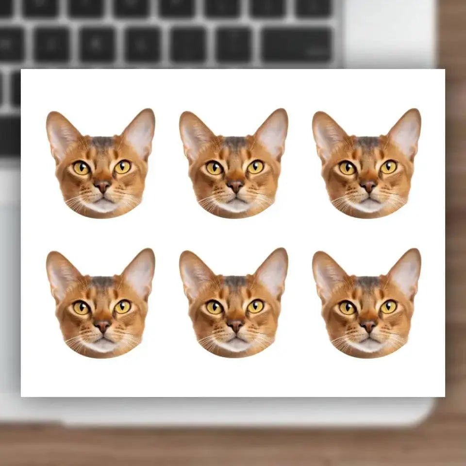 Custom Cat Photo Sticker Sheet - Chic Kitty