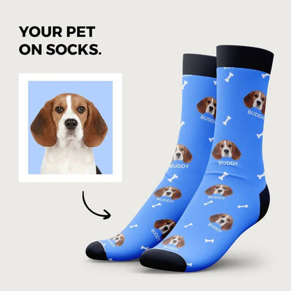 Personalised Custom Pet Socks - Chic Kitty