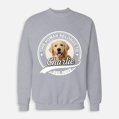 This Human Belongs to - Personalised Pet Sweatshirt - Chic Kitty