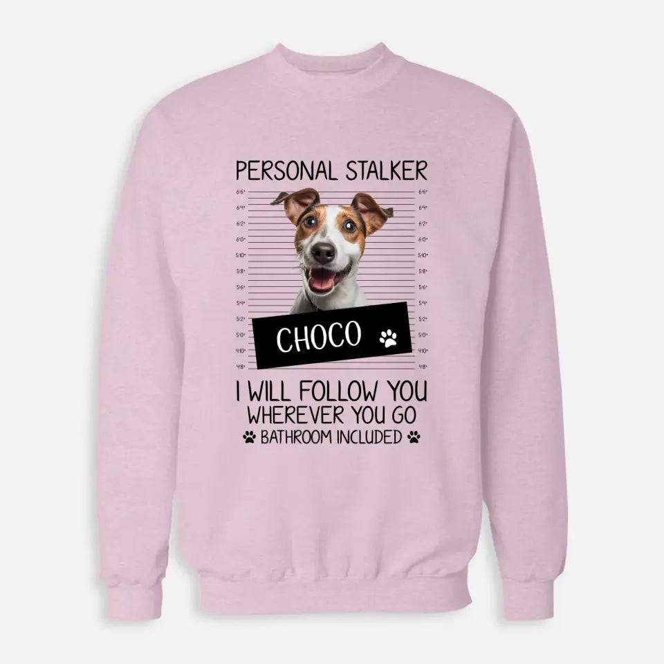 Personalised Pet Stalker Sweatshirt - Chic Kitty