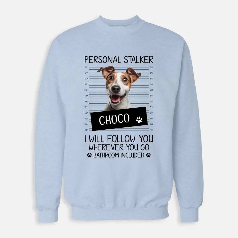 Personalised Pet Stalker Sweatshirt - Chic Kitty