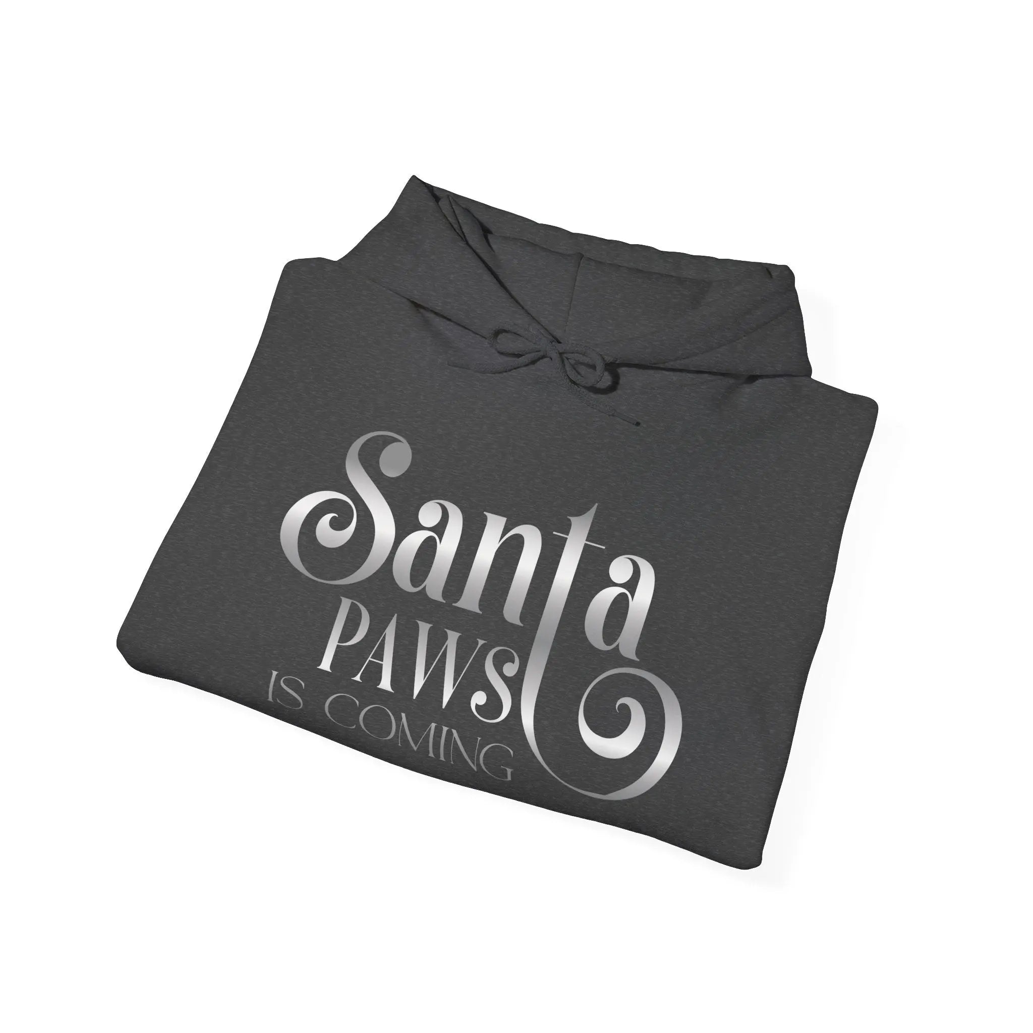 Santa Paws Is Coming Hoodie — Cozy Christmas Pet Lover Sweatshirt - Chic Kitty