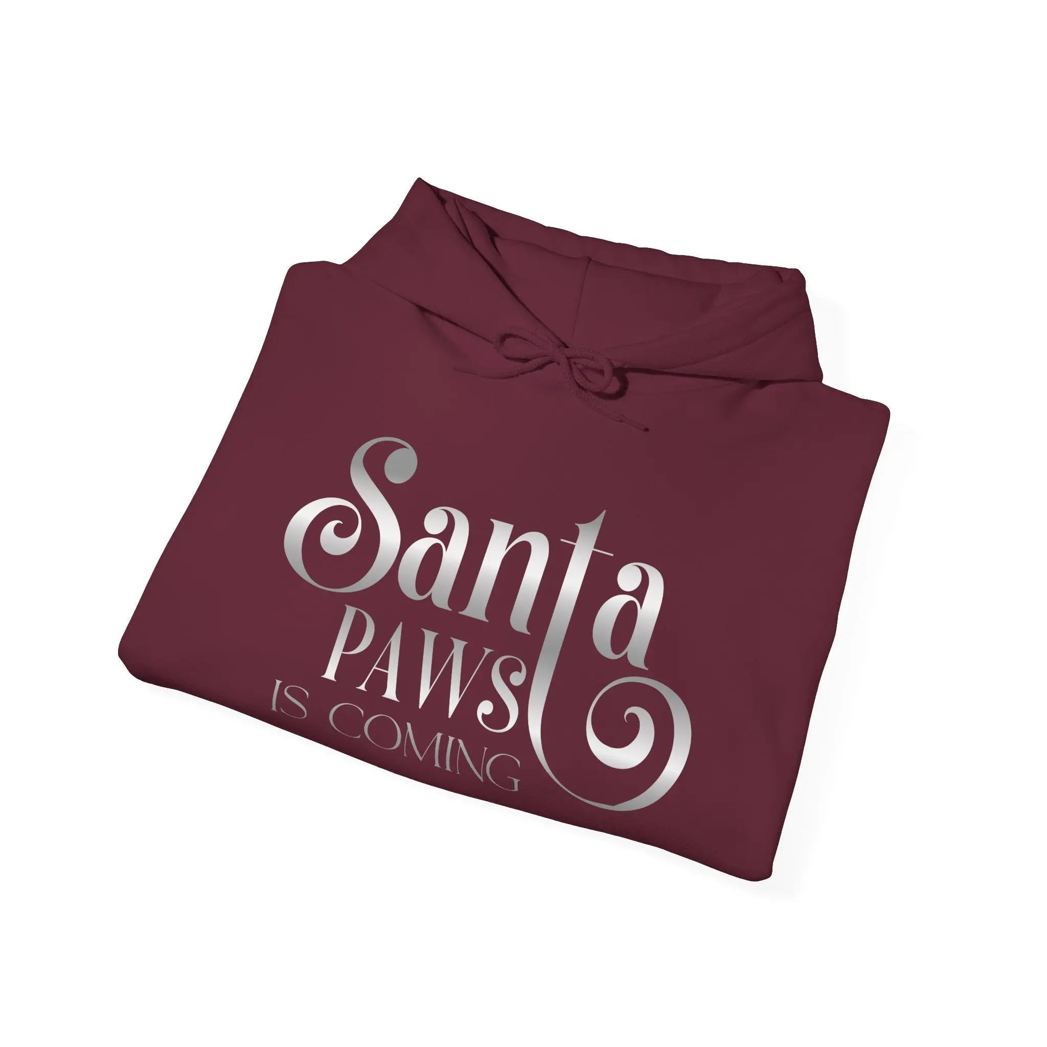 Santa Paws Is Coming Hoodie — Cozy Christmas Pet Lover Sweatshirt - Chic Kitty