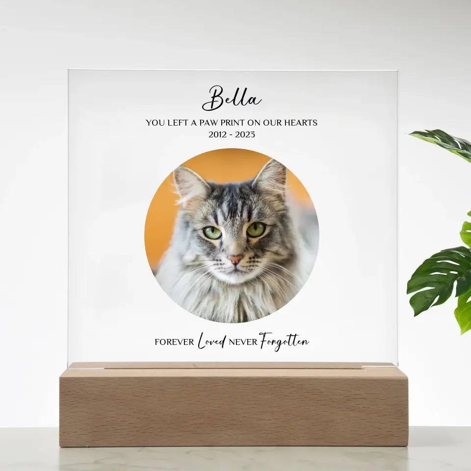 Custom Cat Photo Memorial Gift - Acrylic Square Plaque