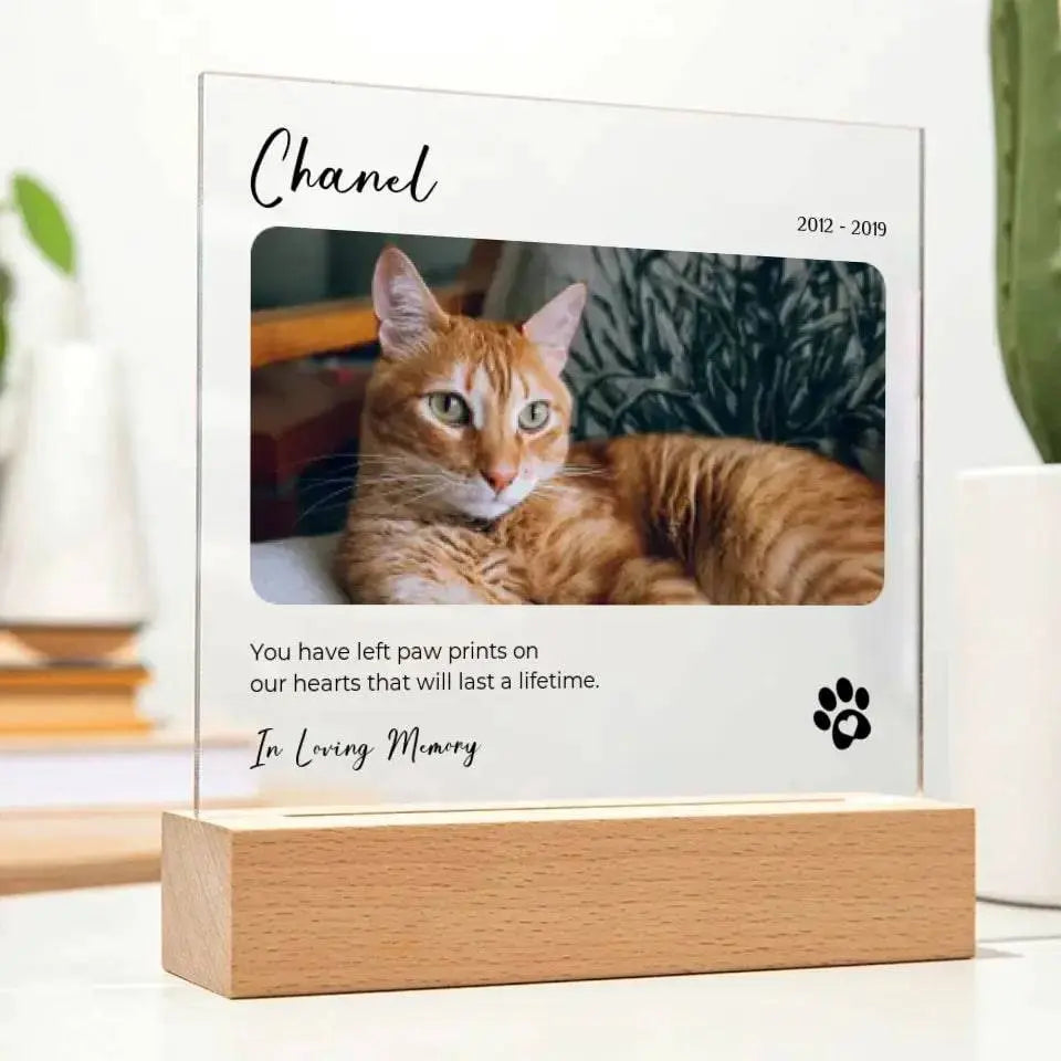 Custom Pet Photo Memorial Gift - Acrylic Square Plaque - Chic Kitty