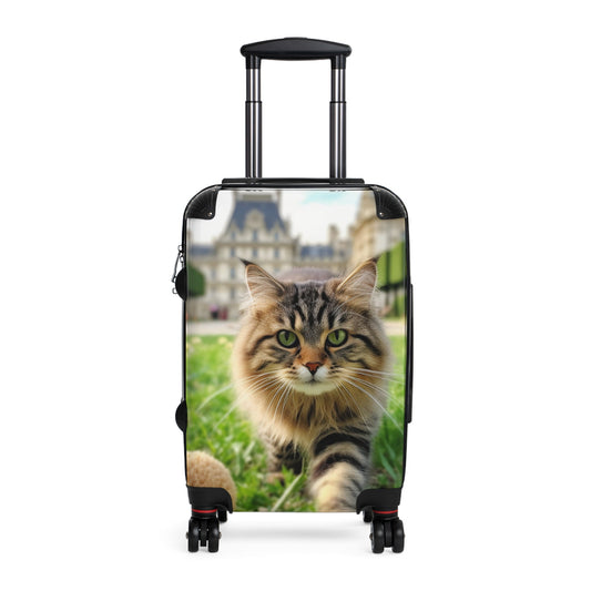 Best Feline Carry-On Luggage and Suitcase - Top Cat Supplies in US